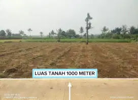 Di jual Tanah Kebun Murah Ciseeng parung bogor