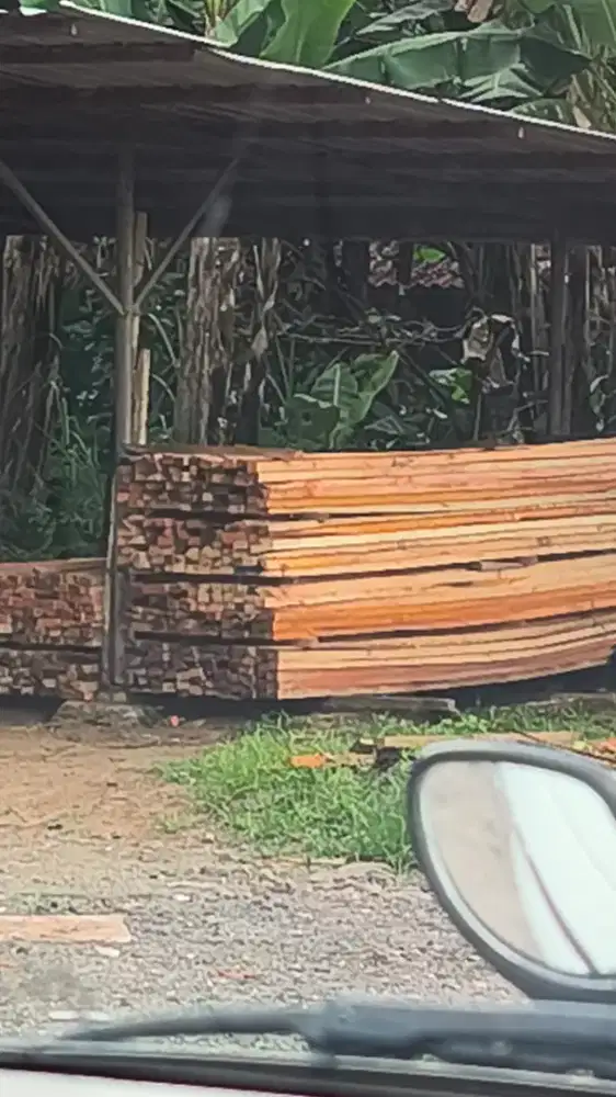 Dijual Kayu Lokal