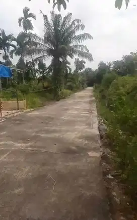 Tanah & kolam ikan di Pandau Jaya dekat dari kota Pekanbaru