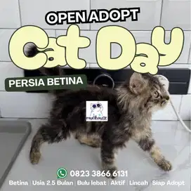 PERSIMED BETINA GEMBUL AKTIF