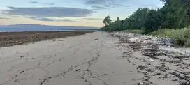 Dijual Murah Tanah Los Pantai