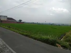 TANAH MURAH BISA DI TERMIN LOKASI PENDEM BATU