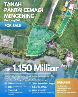 Dijual / Freehold Tanah 131 are Los Sungai View Sawah & Pantai Cemagi