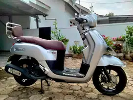 fazzio lux silver seperti baru