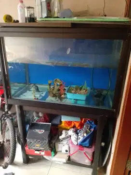Jual aquarium rangka aluminium bekas arwana