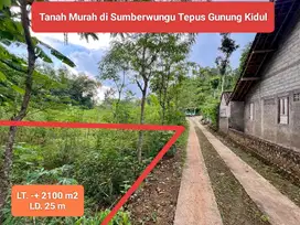 Jual tanah murah di Sumberwungu Tepus Gunung Kidul Dekat Amikom YK