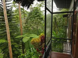 Villa jungle view ubud