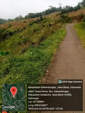 Dijual lahan kebun di ketinggian 800 MDPL