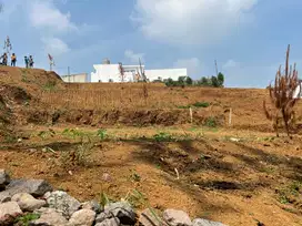 Tanah kavling murah d wisata puncak bogor