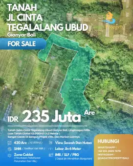 BUC Tanah 4.2 hectar Jl Cinta Tegallalang Gianyar