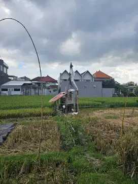 Premium land for rent padonan canggu bali