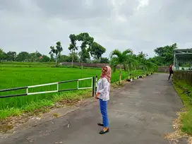 Tanah Pekarangan Tepi Sawah Harga 190 Jutaan