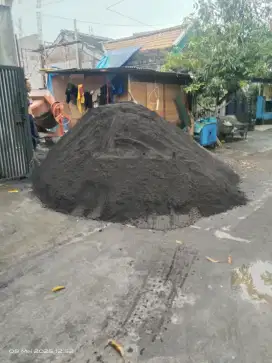 Pasir pasang/plseter