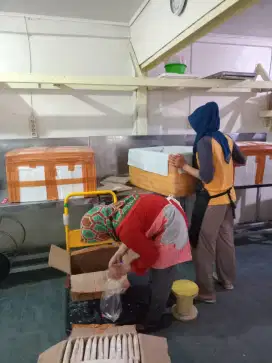 Produsen Dagdur Termurah Berbah, Sleman