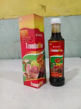 Trombofit. Sari Kurma Angkak