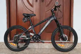 Mtb 20 inci Element Blast Shimano