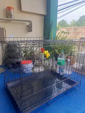 Kandang kucing semoga sold out