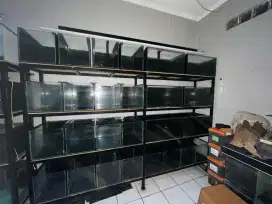 Aquarium dan rak holo bekas