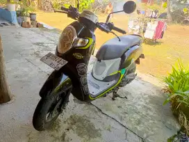 Scoopy 2017 Plat AD