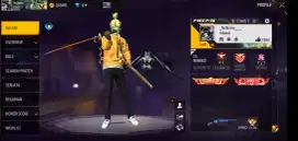 Akun free fire (ff)