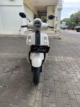 Fazzio Neo 2025 Pajak Panjang