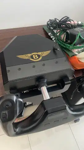 Simulator Pilot