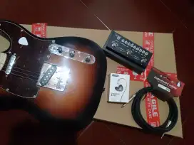 Telecaster Difergio Lion