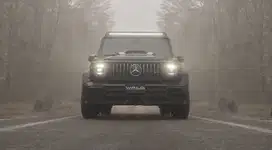 Bodykit Wald Black Bison Mercedes Benz G63/W463