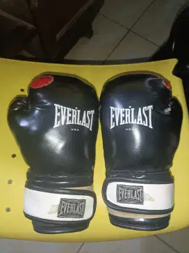 Boxing Gloves Everlast