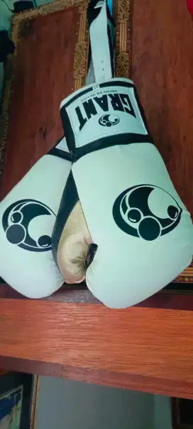 Boxing Gloves Grant