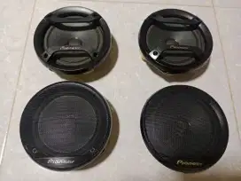 Speaker Pioneer