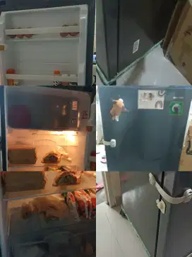 kulkas sharp 1 pintu