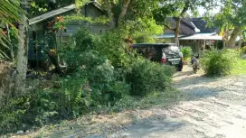 Jual tanah bonus rumah di sentolo
