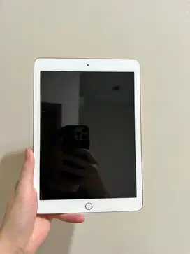 Ipad 6 Rose Gold