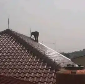 Ahli jasa pasang anti penangkal petir sawangan Sukmajaya Tapos