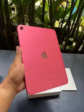 Ipad Apple 10 256gb Pink Tablet