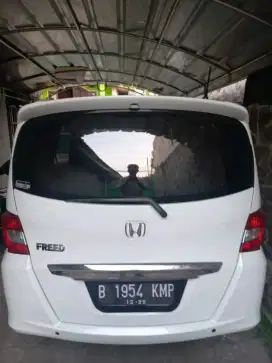 Freed putih 2013