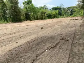Murah! Harga Launching Tanah Kavling Bojong Gede, 2 KM Stasiun Citayam