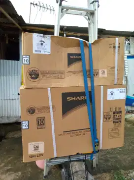 AC Sharp 1/2 PK new