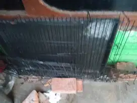 Jual kandang kucing ukuran 60