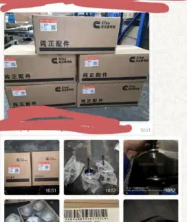 Freelance Angkut Barang