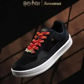 AEROSTREET X HARRY POTTER
