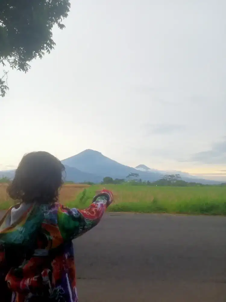 renovasi bangunan dll