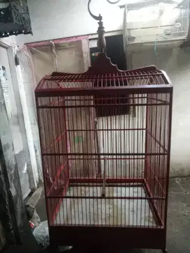 Sangkar kosan ukuran 50x55
