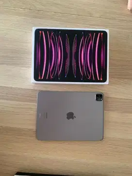 Ipad Pro M2 4th Gen || Case included