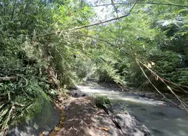 Dijual tanah los sungai dan view sawah