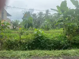 Tanah murah banyuwangi