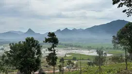 Tanah Murah Strategis pinggir jalan provinsi Harga Spesial cash keras