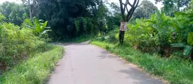 Cicilan 30X Tanpa Bunga, Kavling Tamansari Bogor