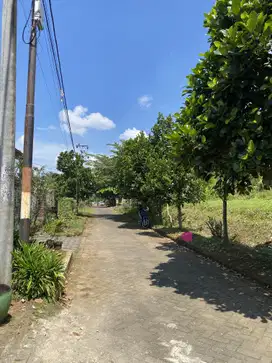 Tanah Malang Akses Jalan Mudah Potensial Rukos Dekat 3 Kampus Besar